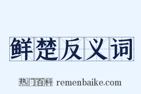 鲜楚反义词是什么意思的图片